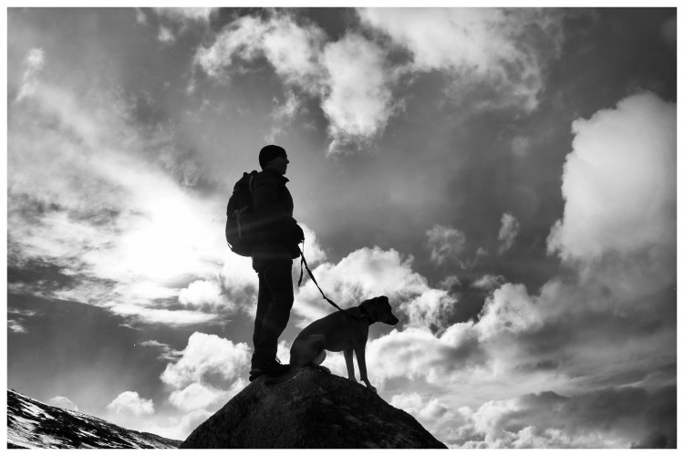 hiking with a dog