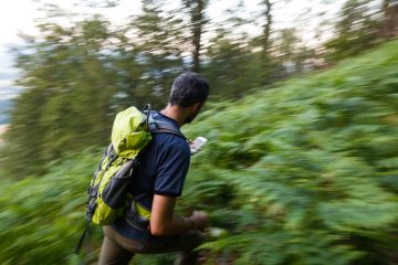 lost in the woods