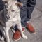 Assemble a Pet First-Aid Kit
