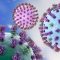 A Cure For Viruses?