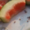 4 Insects You Can Eat Year-Round